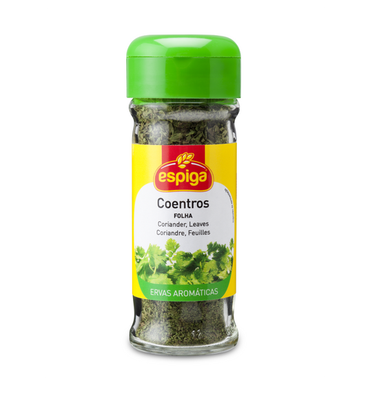 Coentros Folha